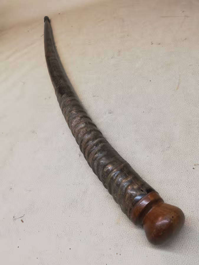 Gemsbok Horn Walking stick
