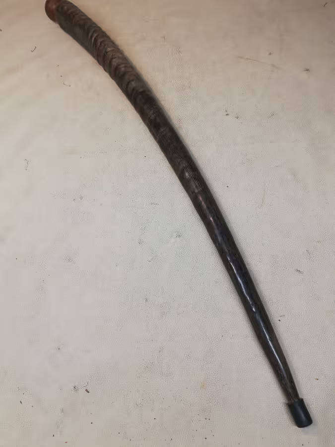Gemsbok Horn Walking stick