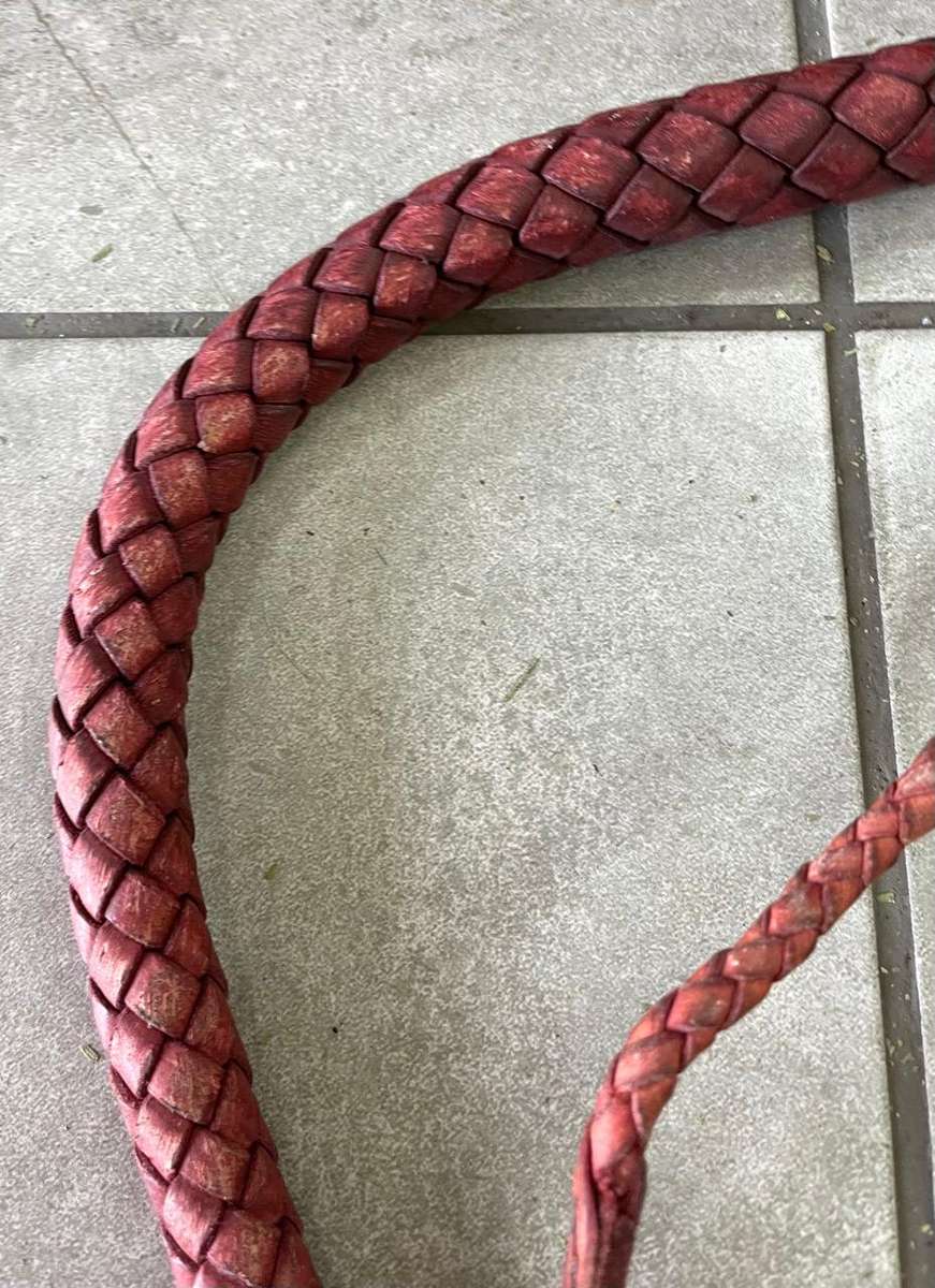 Leather Bull Whip
