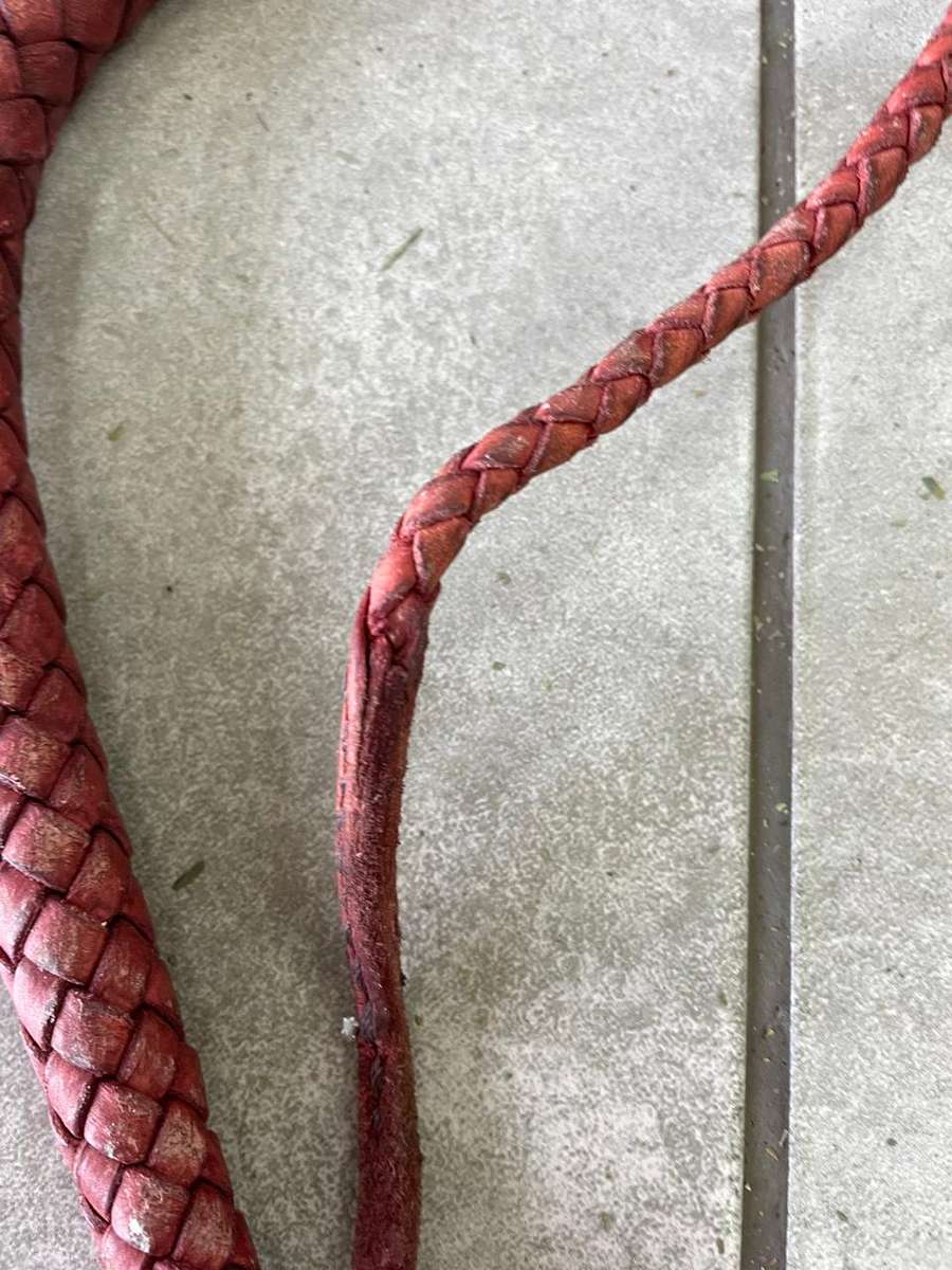 Leather Bull Whip