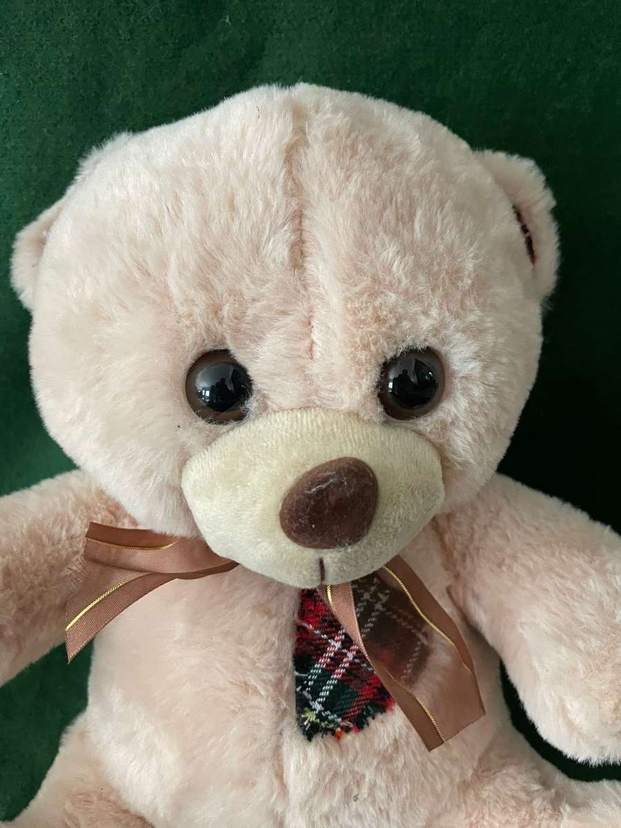 Teddy Bear - Fluffy Tartan Teddy Beer - In Awesome condition