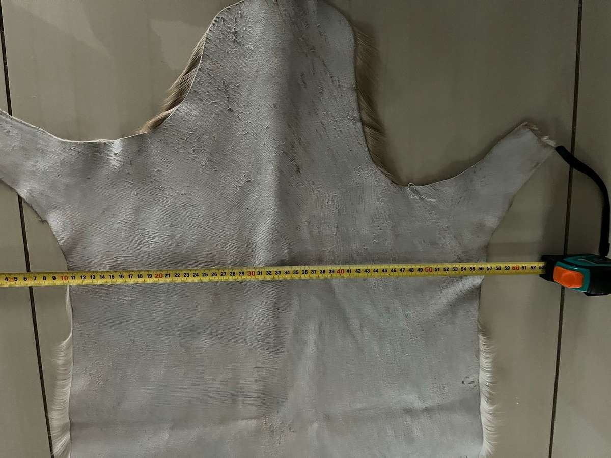 Springbok skin - excellent condition : size 60cm x 89cm