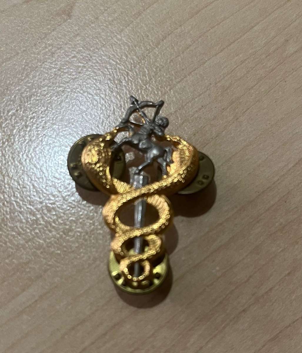 SADF Medics SAMS Veterinarian Breast Badge - All Pins