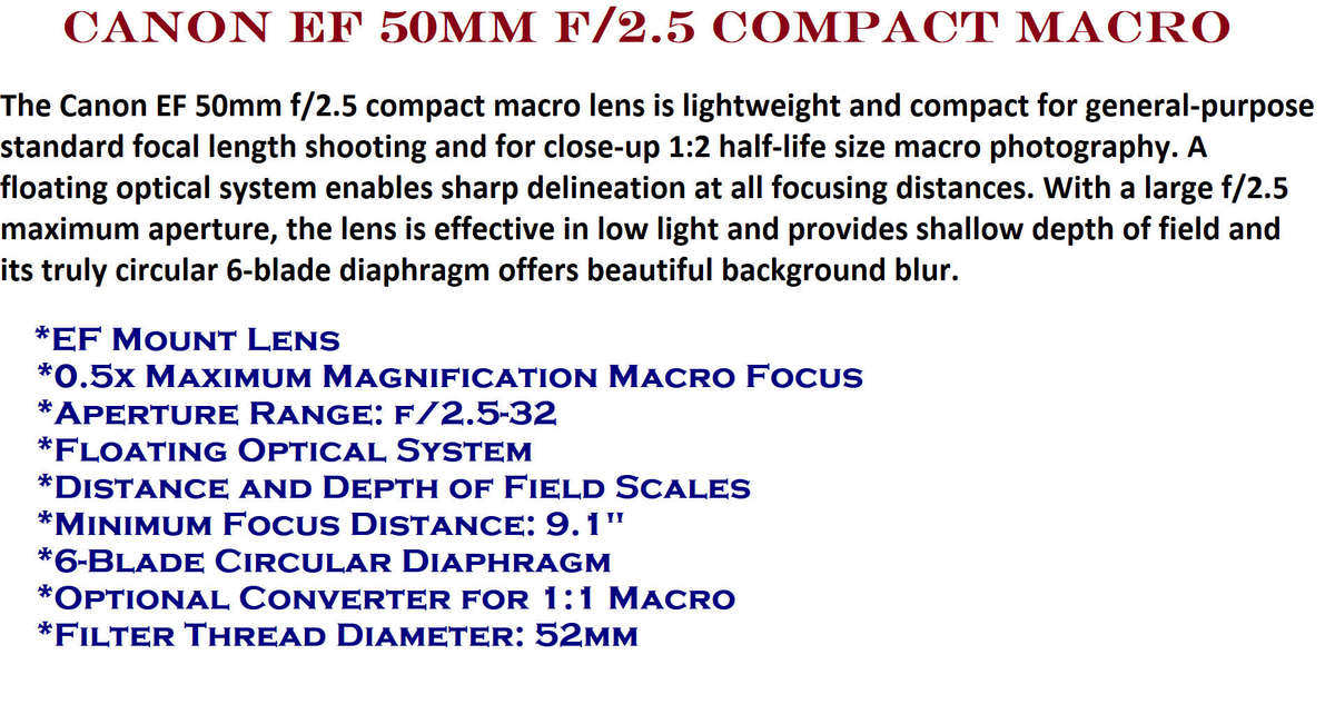 Canon EF 50mm f/2.5 Compact Macro