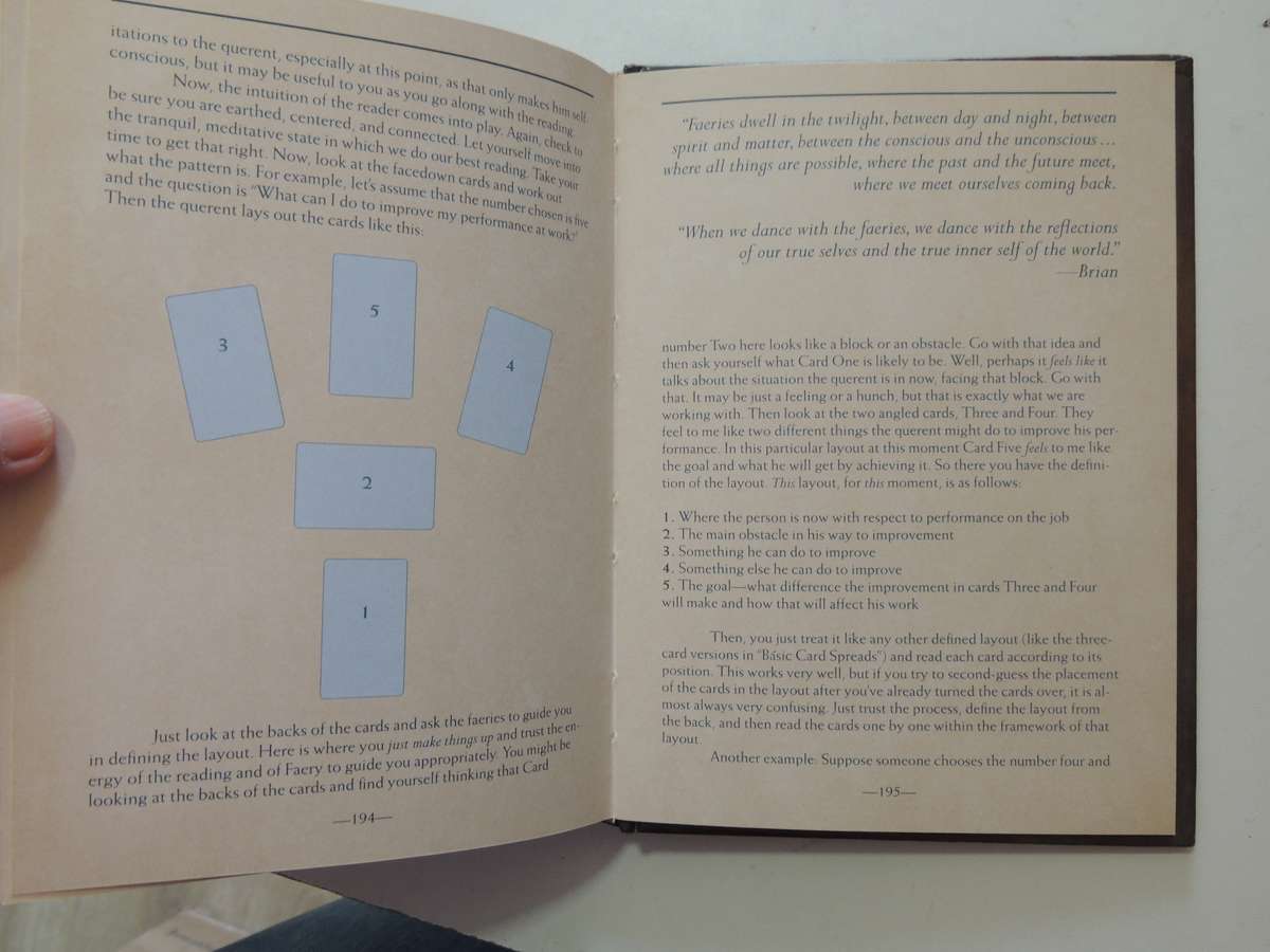 The Faeries' Oracle:Working with Fairies Find Insight, Wisdom & Joy - Brian Froud, Book Only