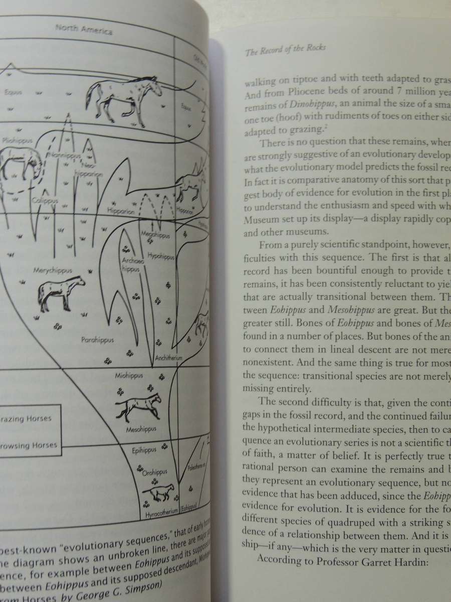 Shattering The Myths Of Darwinism - Richard Milton
