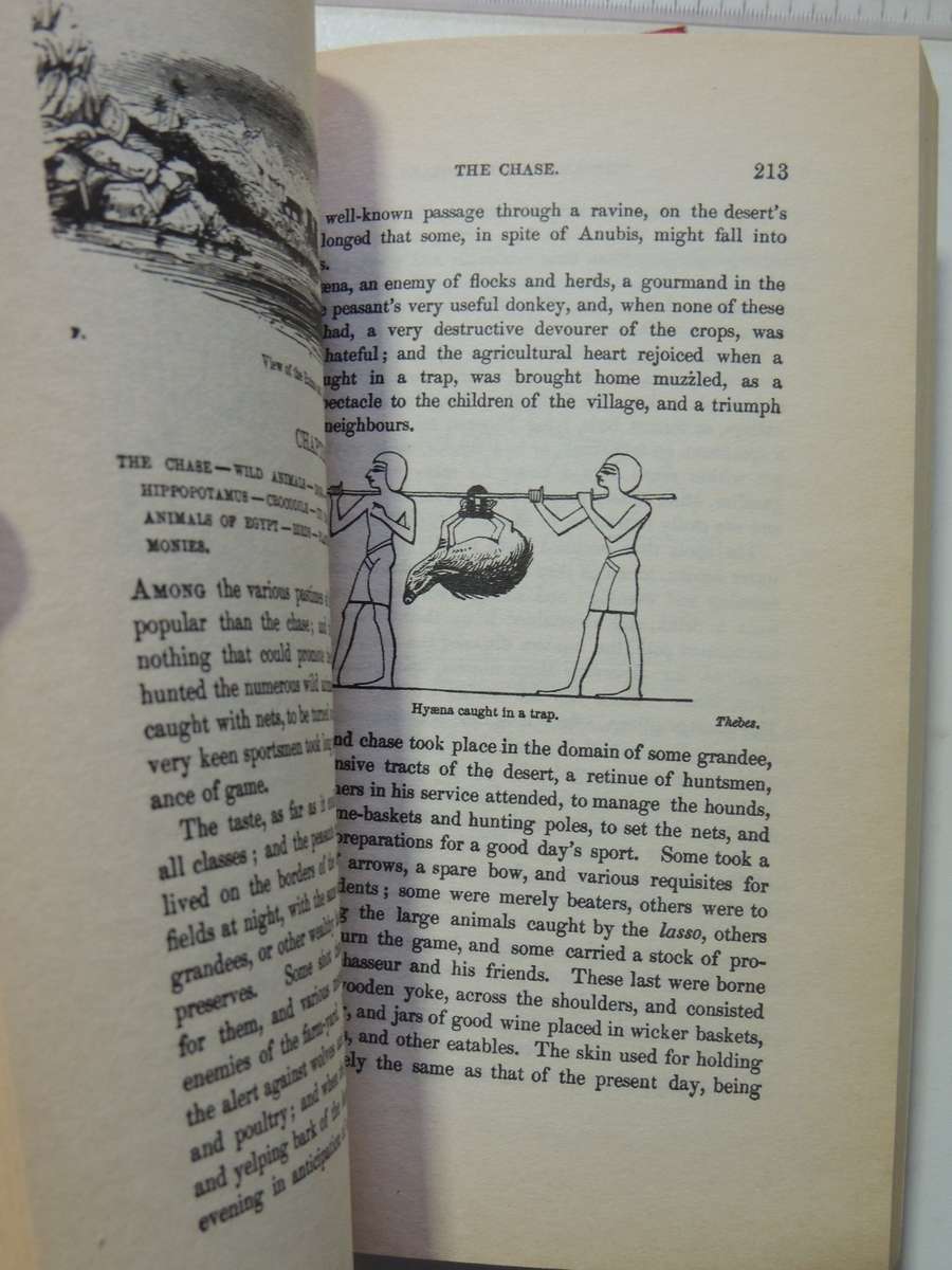 The Ancient Egyptians: Their Life And Customs - J. Gardener Wilkinson   2 Volume Set-