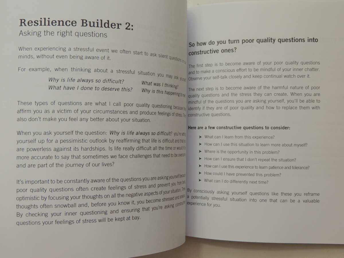D-Stress: Building Resilience In Challenging Times - Meiron Lees