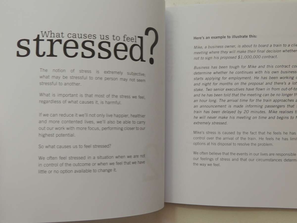 D-Stress: Building Resilience In Challenging Times - Meiron Lees
