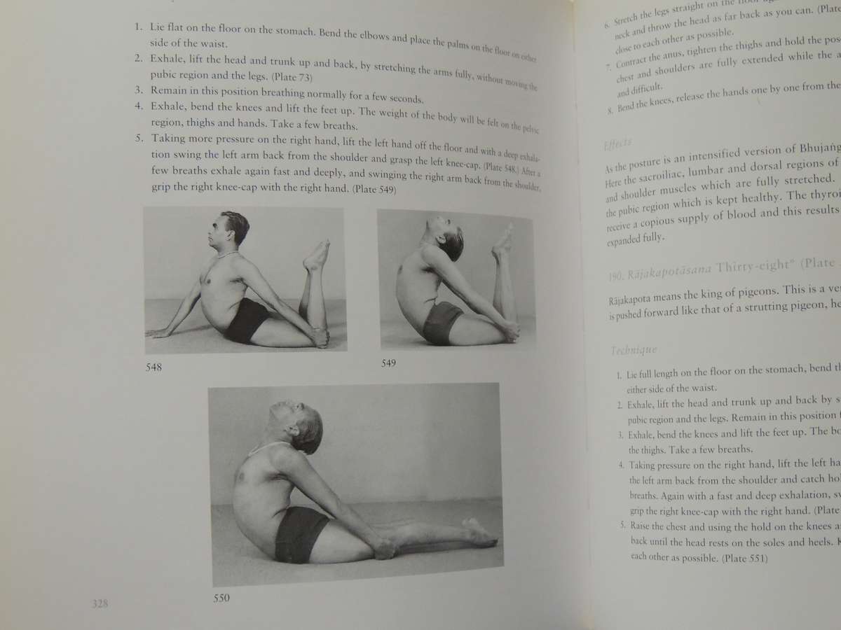 Light On Yoga: The Classic Guide To Yoga From The World's Foremost Authority - B.K.S. Iyengar