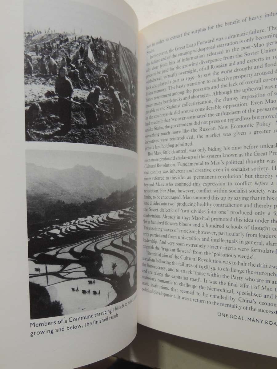 Karl Marx: The Legacy - David McLellan