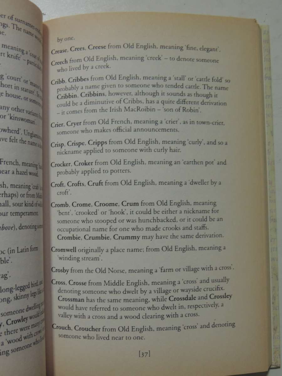 Stufflebeem, Brockway & Sturt: The Origins Of Our Surnames - Shelley Klein