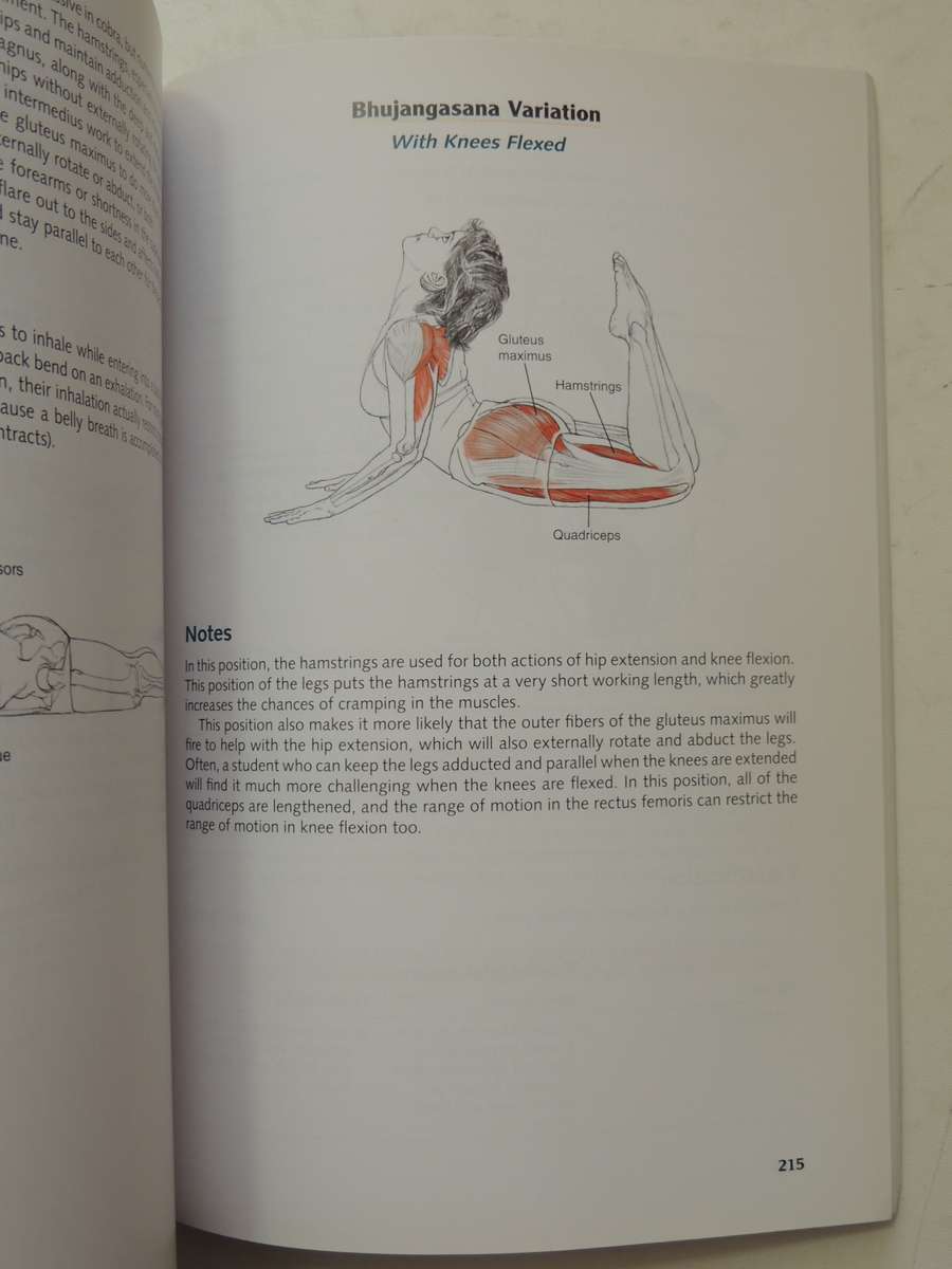 Yoga Anatomy - Leslie Kaminoff & Amy Matthews