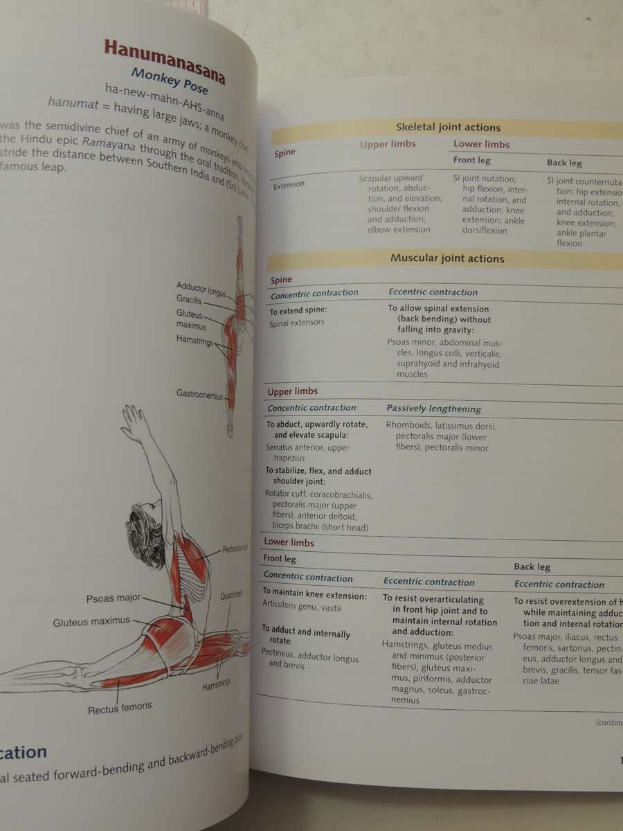 Yoga Anatomy - Leslie Kaminoff & Amy Matthews
