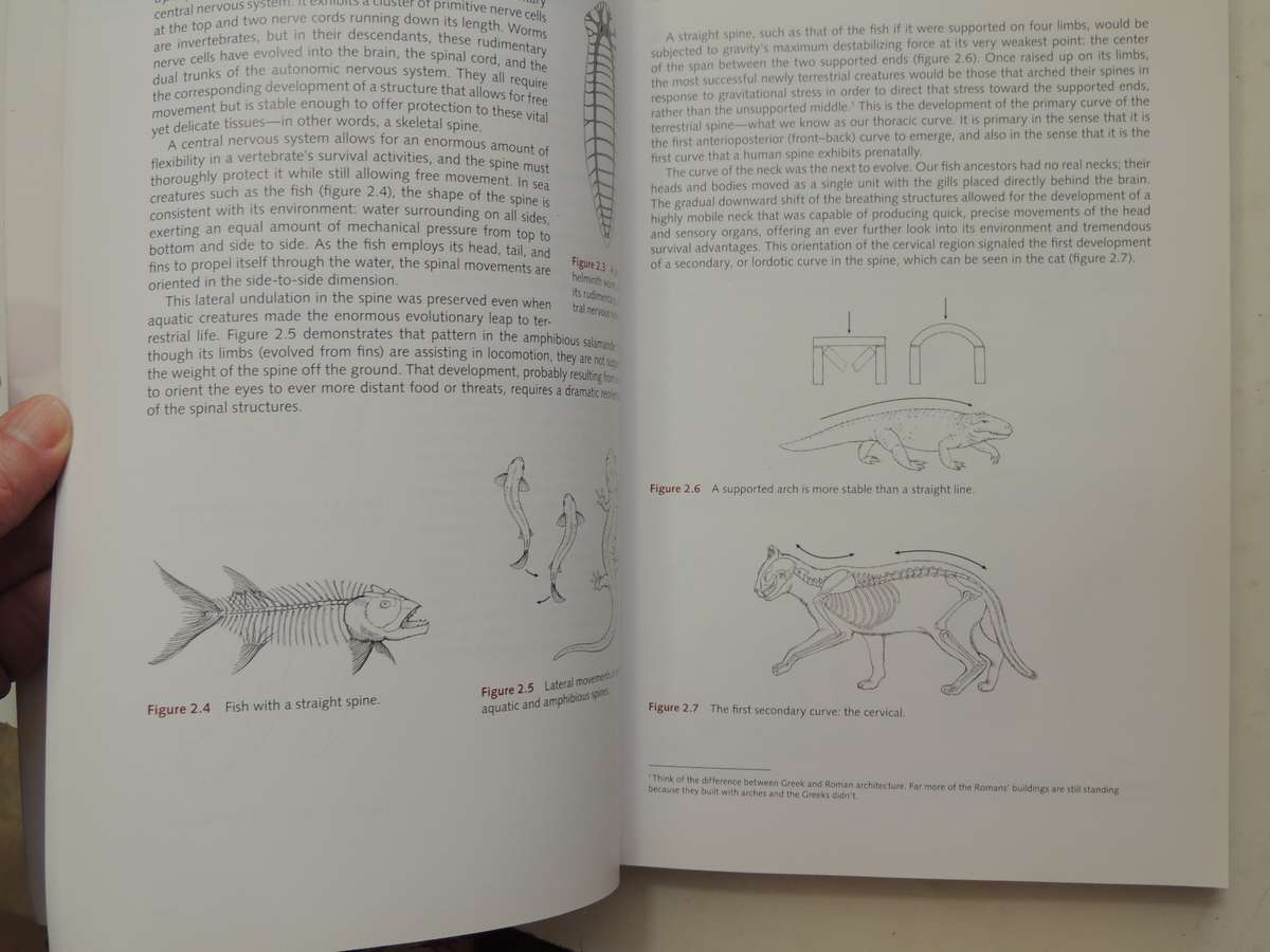 Yoga Anatomy - Leslie Kaminoff & Amy Matthews