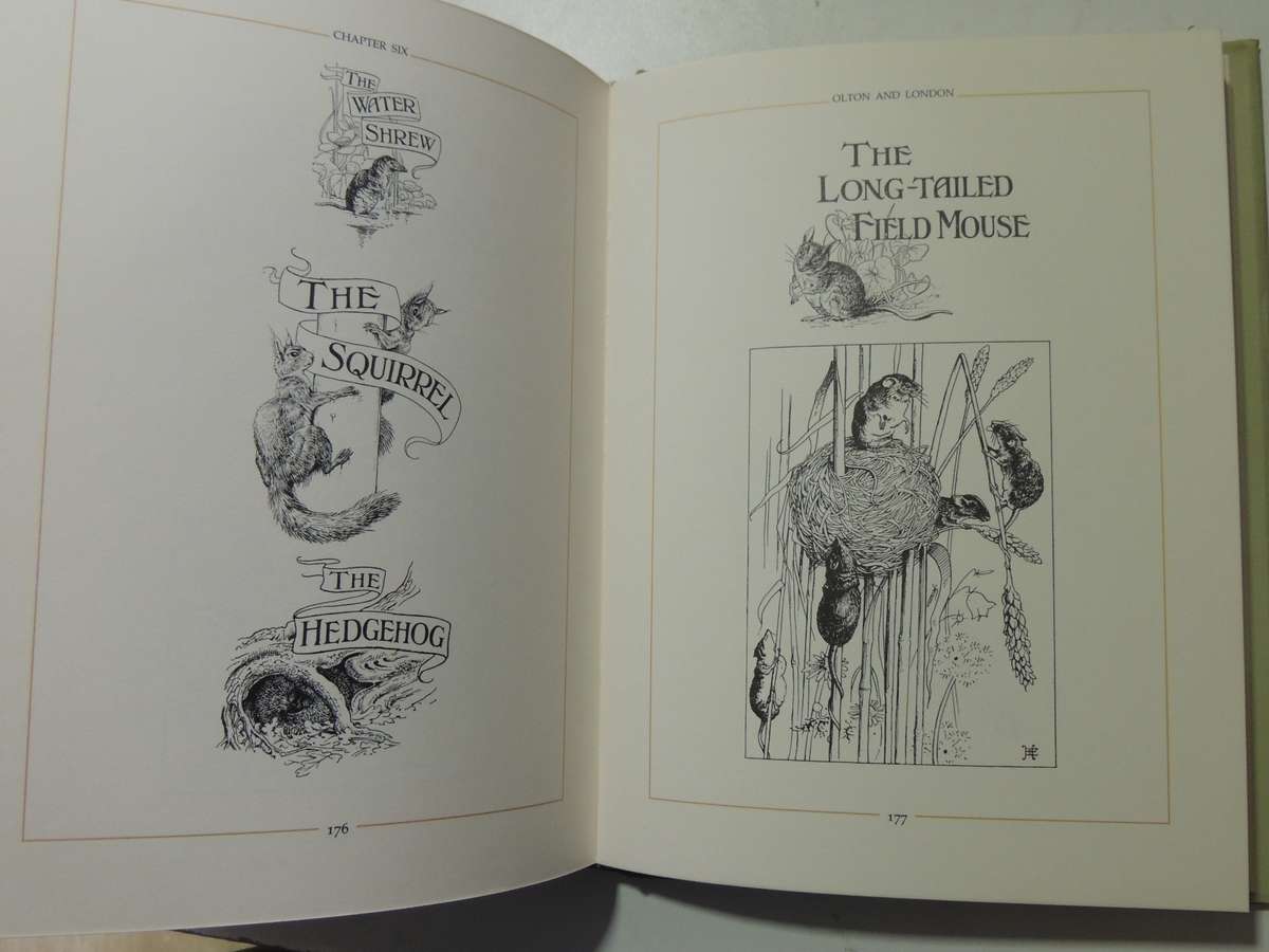 The Edwardian Lady: The Story Of Edith Holden - ed Ina Taylor
