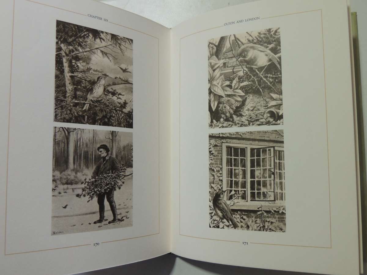 The Edwardian Lady: The Story Of Edith Holden - ed Ina Taylor