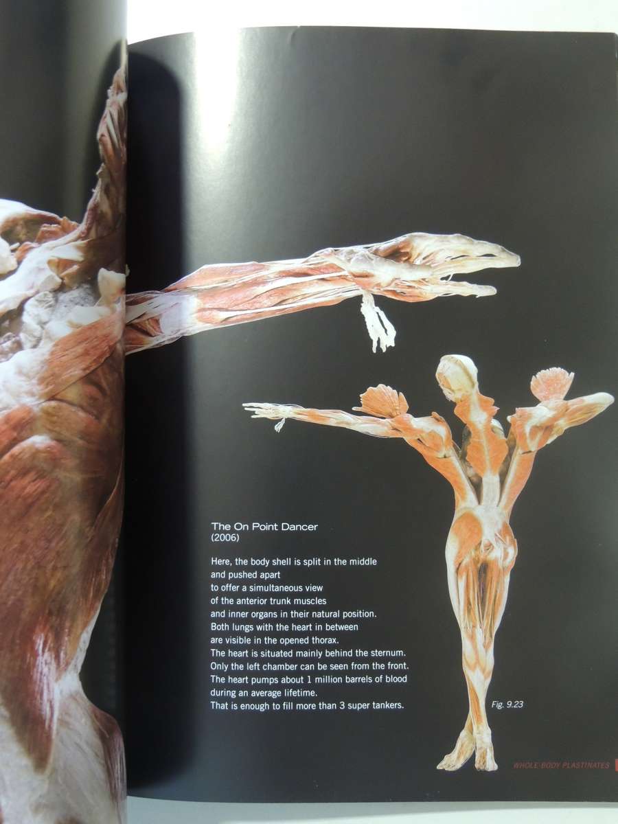 Body Worlds: The Original Exhibition - Gunther Von Hagen