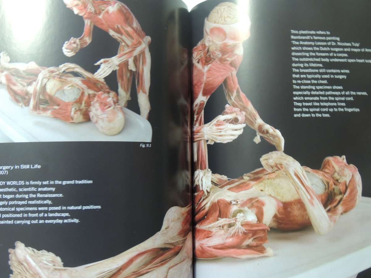 Body Worlds: The Original Exhibition - Gunther Von Hagen