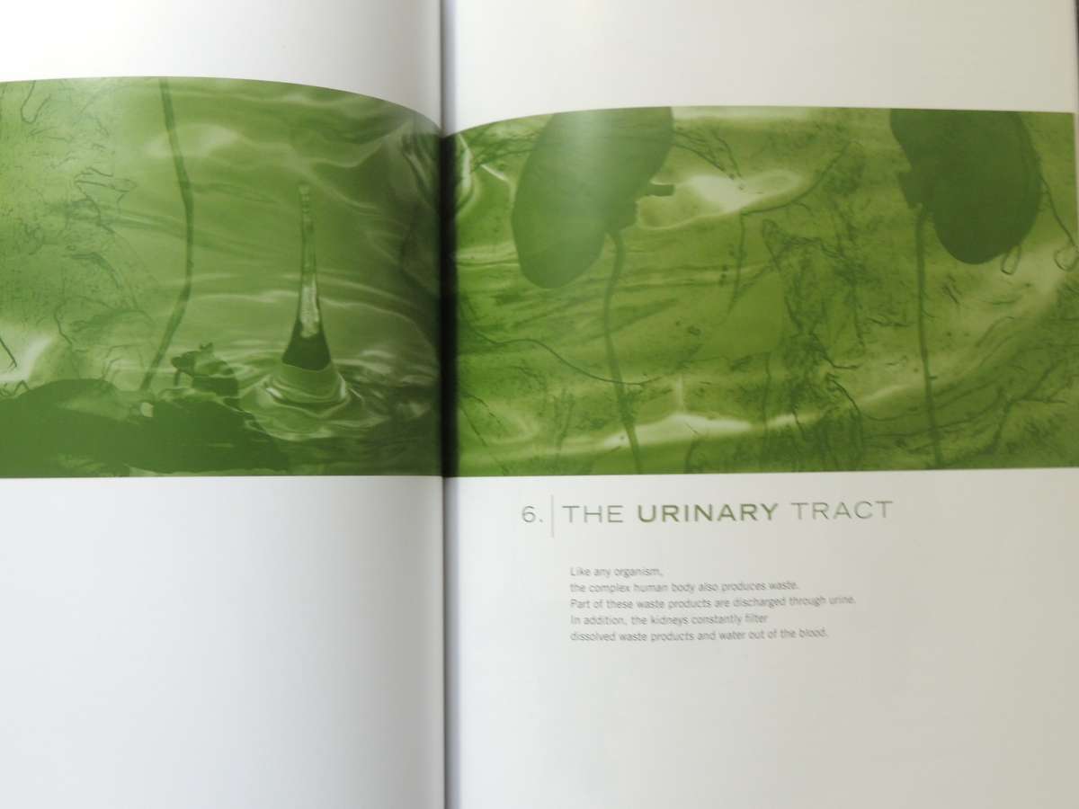 Body Worlds: The Original Exhibition - Gunther Von Hagen