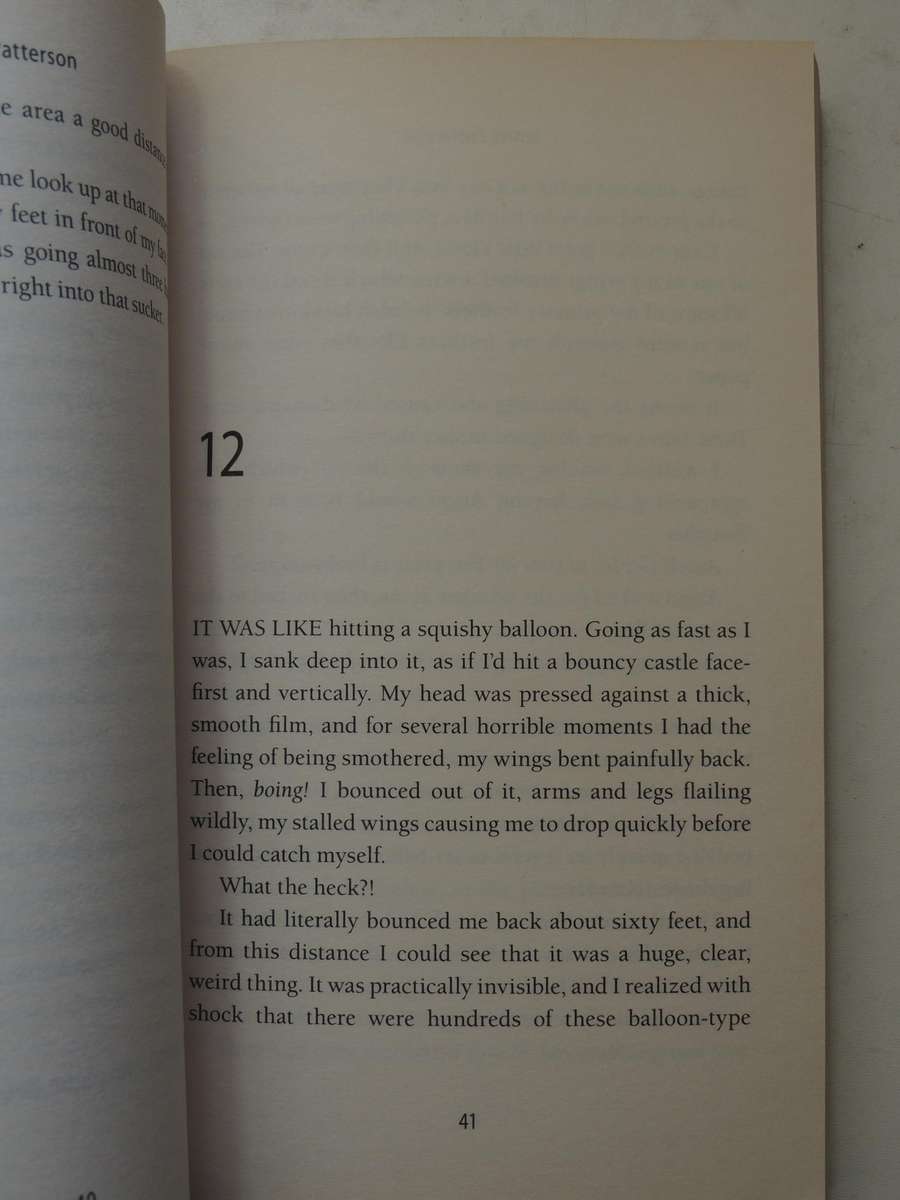 Maximum Ride 7: Angel- James Patterson