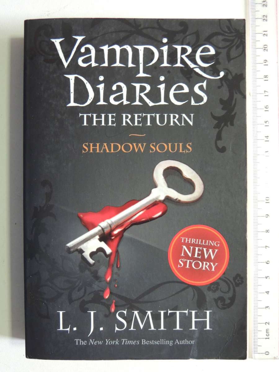 Vampire Diaries Book 6 The Return: Shadow Souls  -  L.J. Smith