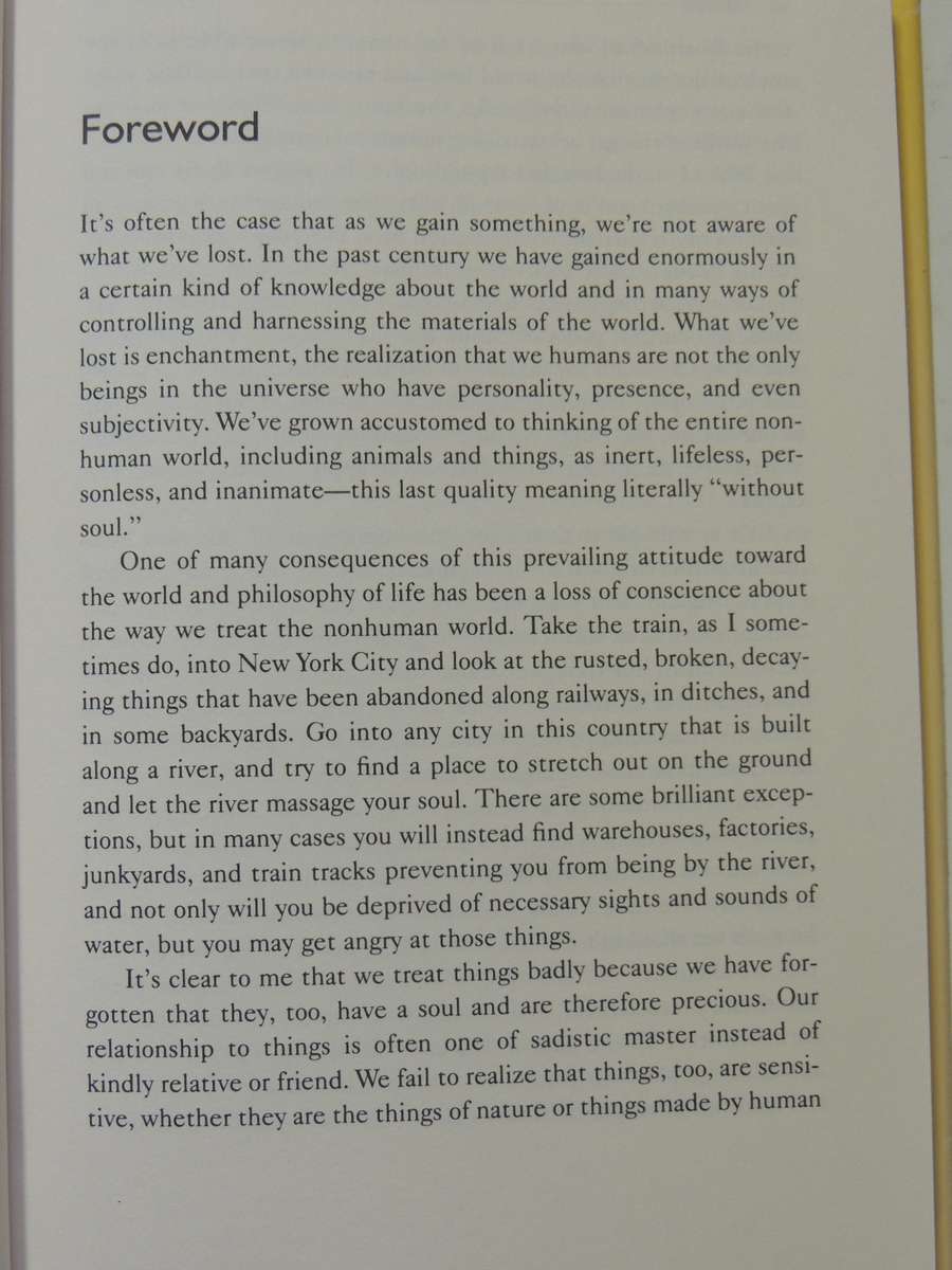 Earth Angels - Engaging The Sacred In Everyday Things- Shaun McNiff