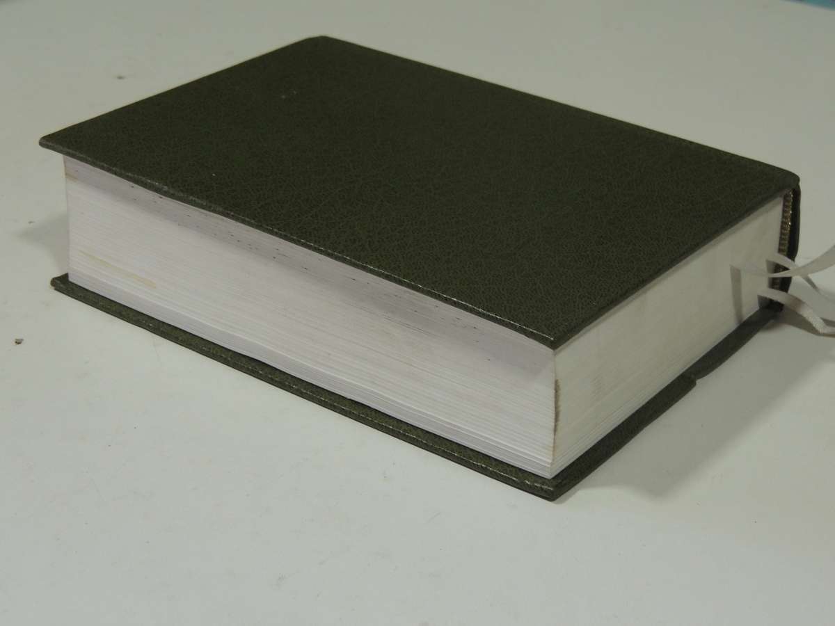 Homoeopathic Materia Medica Comprising the Characteristic & Guiding Symptoms / Remedies - Boericke