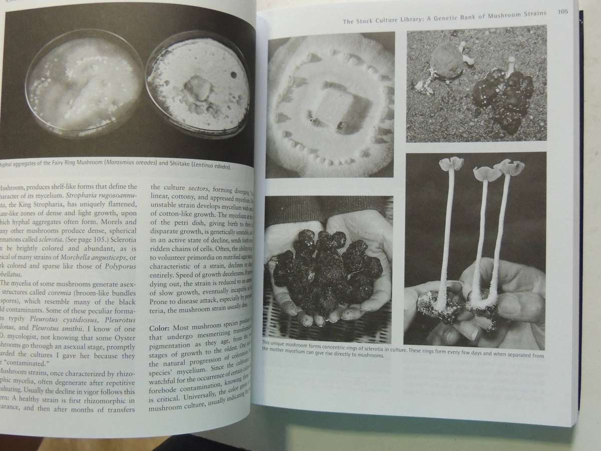 Growing Gourmet And Medicinal Mushrooms (3rd Edition)Paul Stamets