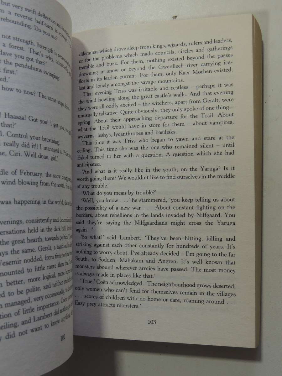 The Witcher, Blood of Elves - Andrzej Sapkowski