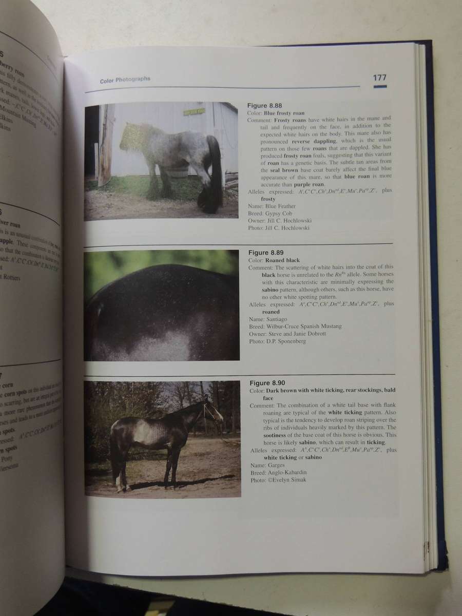Equine Color Genetics (Third Edition)- D. Phillip Sponenberg