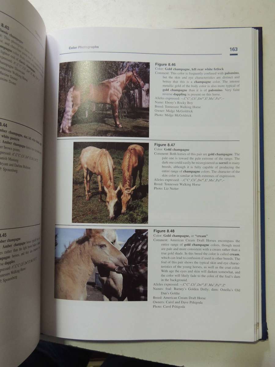 Equine Color Genetics (Third Edition)- D. Phillip Sponenberg