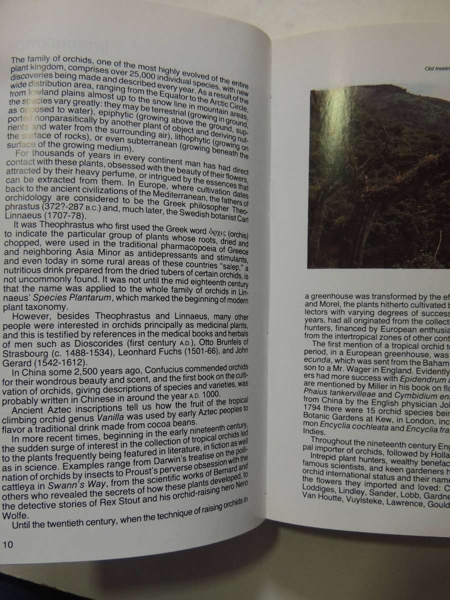 The Macdonald Encyclopedia Of Orchids - Alberto Fanfani
