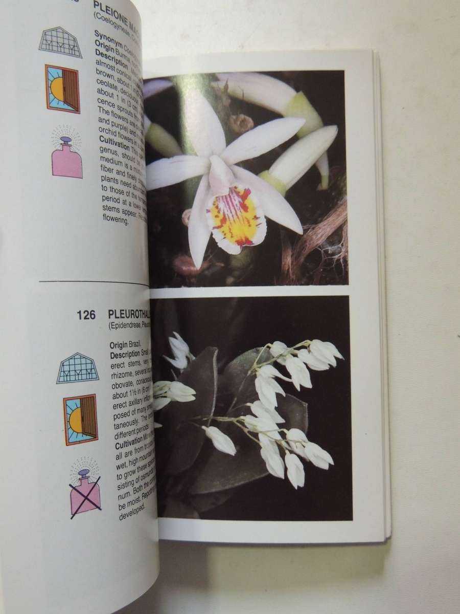 The Macdonald Encyclopedia Of Orchids - Alberto Fanfani
