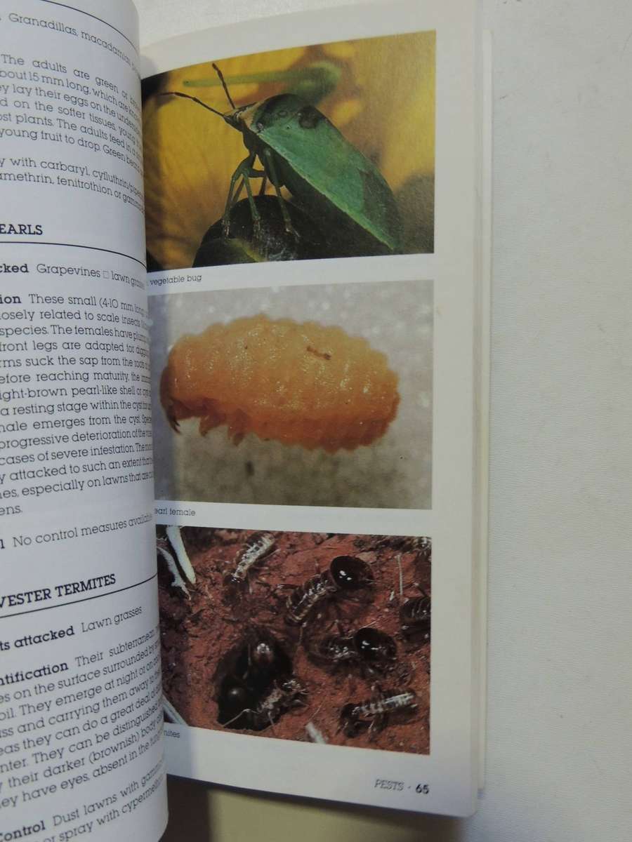 Efekto's Guide To: Identification Of Garden Pests And Diseases-  A.S. Schoeman
