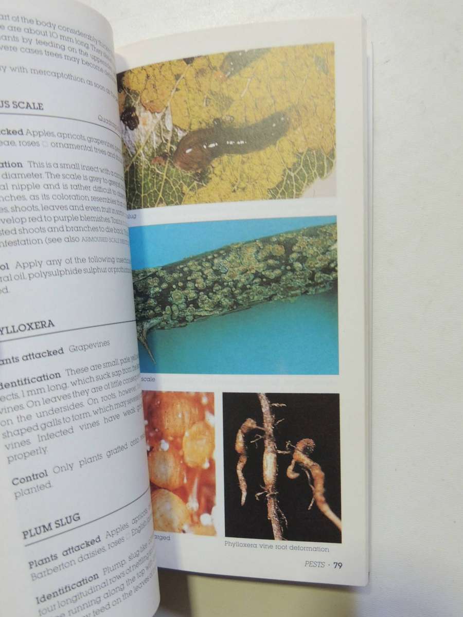 Efekto's Guide To: Identification Of Garden Pests And Diseases-  A.S. Schoeman