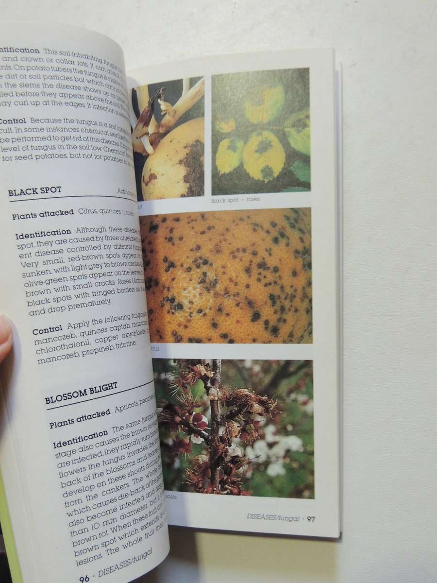 Efekto's Guide To: Identification Of Garden Pests And Diseases-  A.S. Schoeman