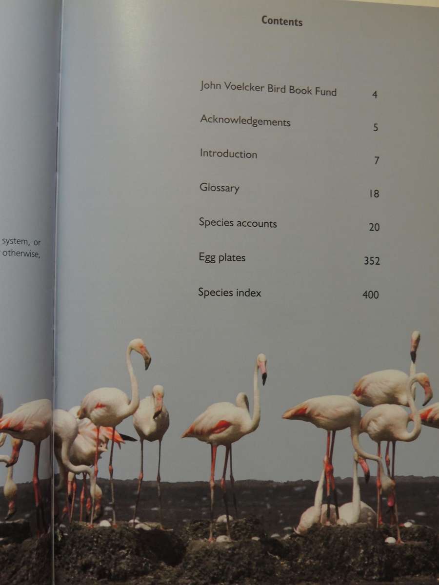 Roberts Nests & Eggs of Southern African Birds - Warwick Tarboton