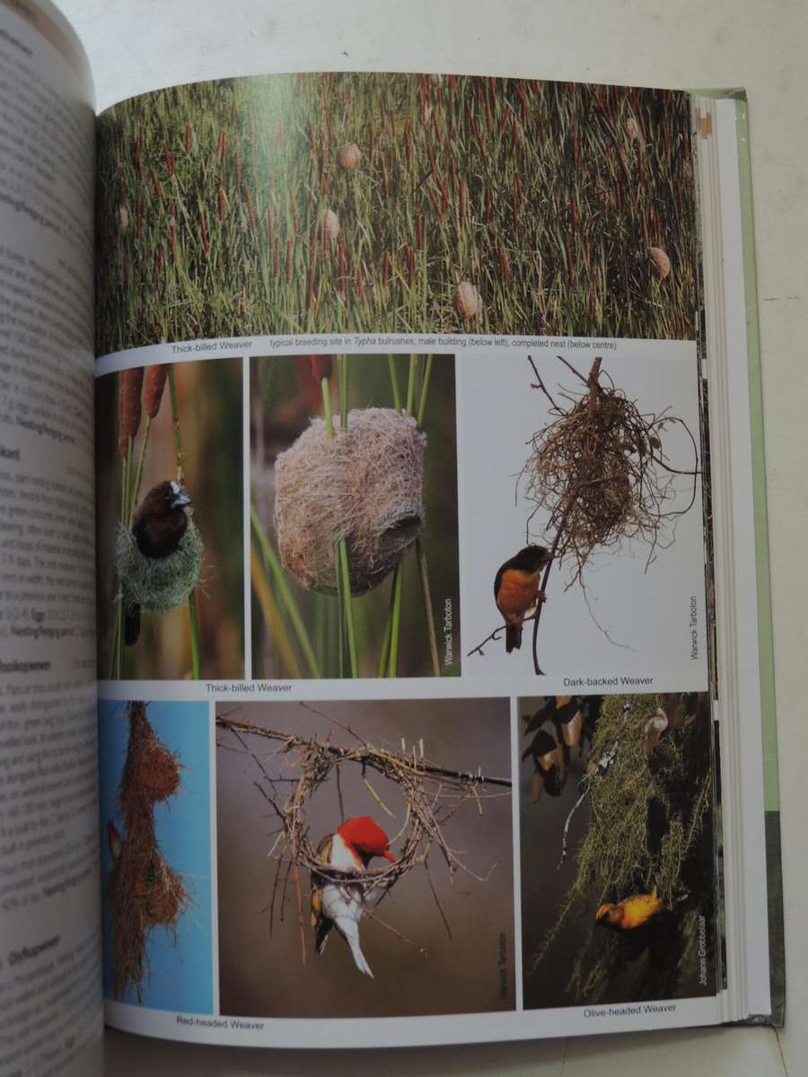 Roberts Nests & Eggs of Southern African Birds - Warwick Tarboton