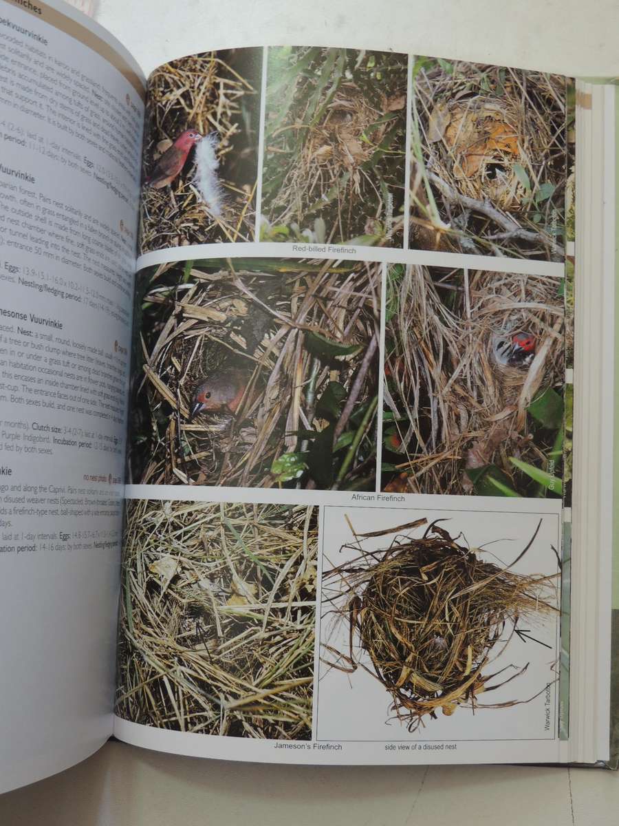 Roberts Nests & Eggs of Southern African Birds - Warwick Tarboton