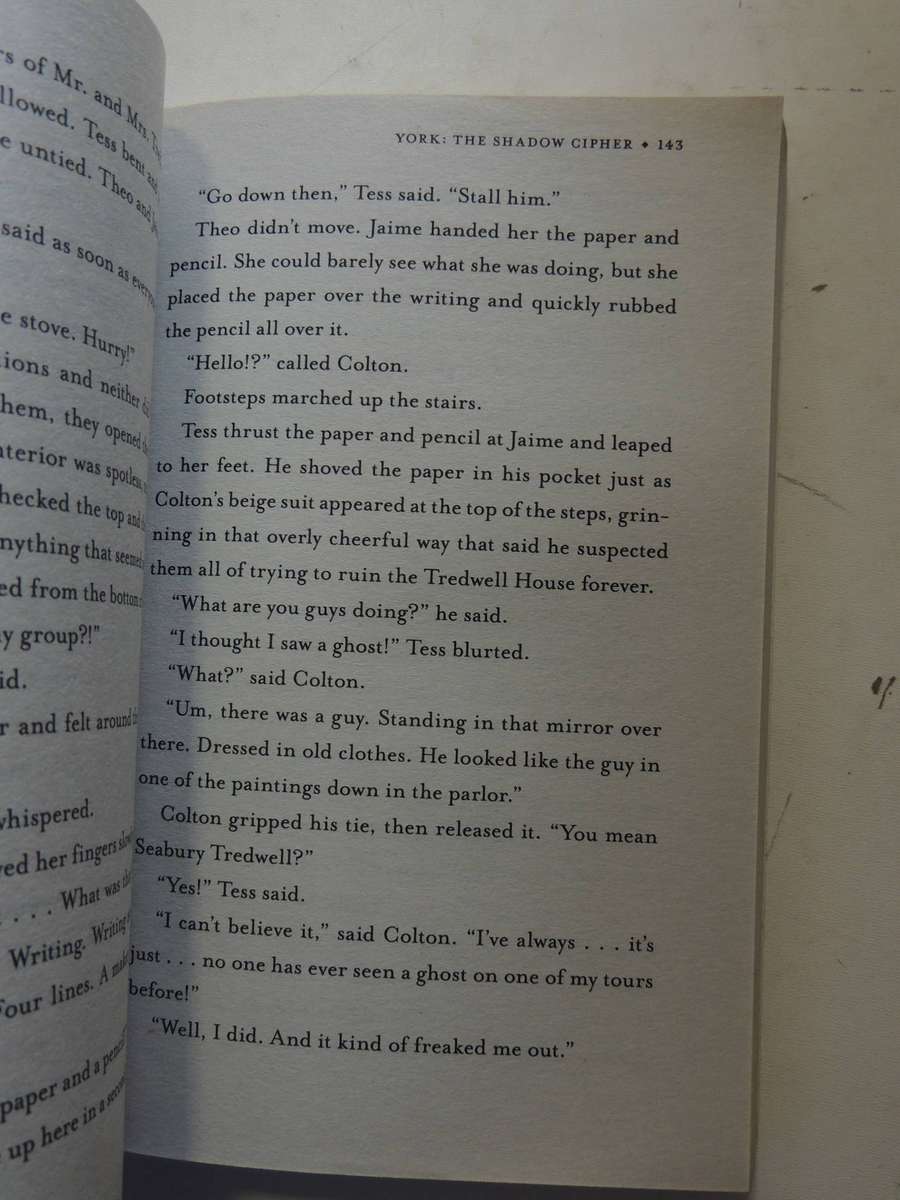 The Shadow Cipher Book 1: York- Laura Ruby