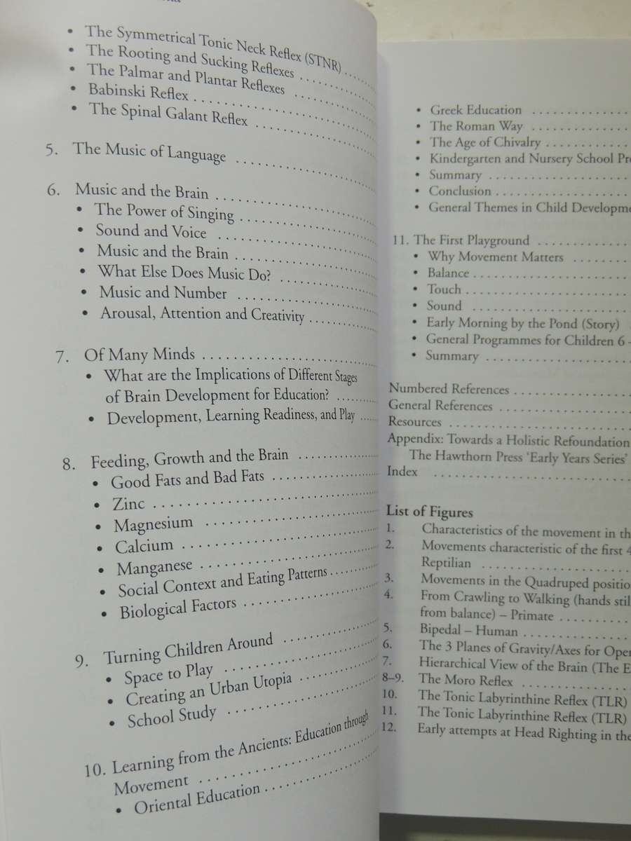 The Well Balanced Child: Movement And Early Learning - Sally Goddard Blythe