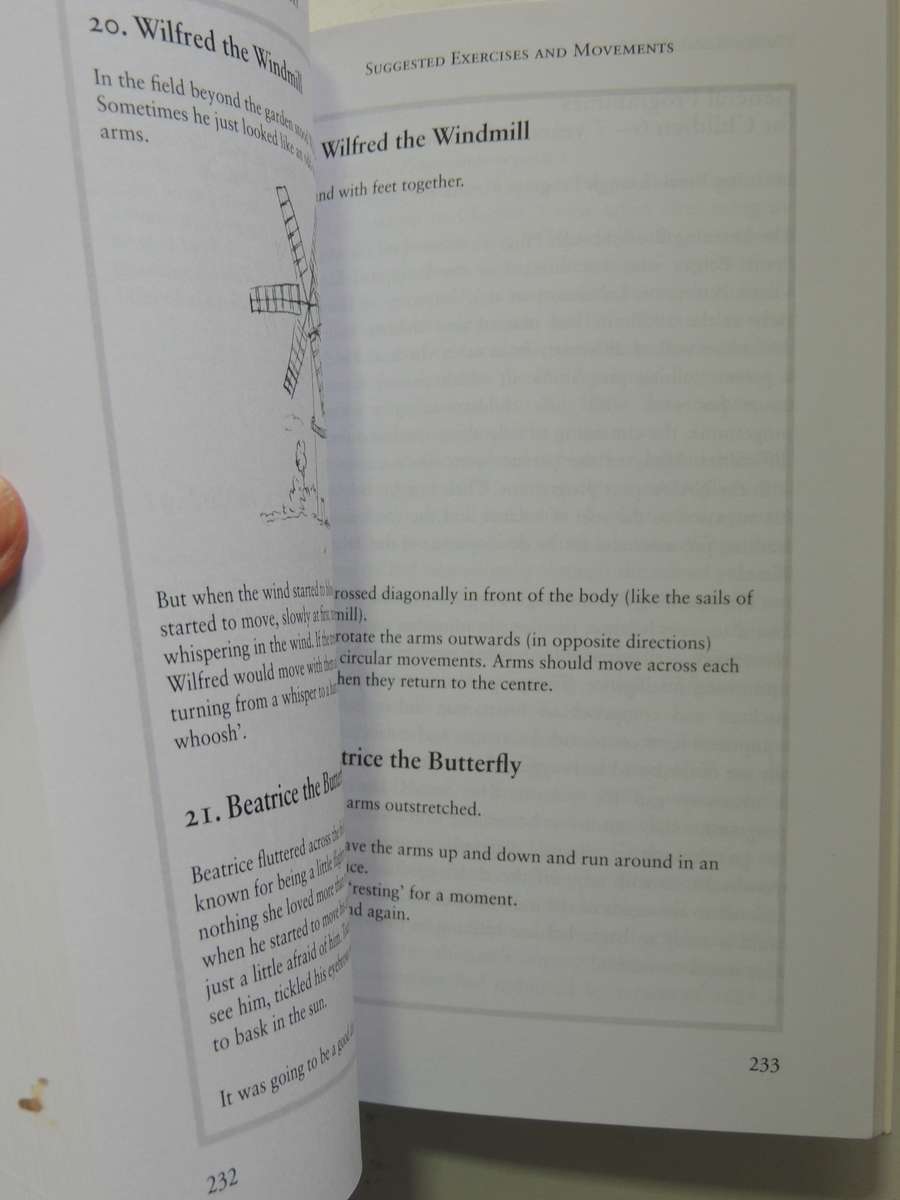 The Well Balanced Child: Movement And Early Learning - Sally Goddard Blythe