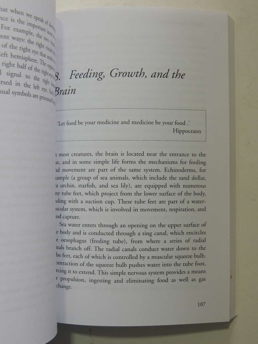 The Well Balanced Child: Movement And Early Learning - Sally Goddard Blythe