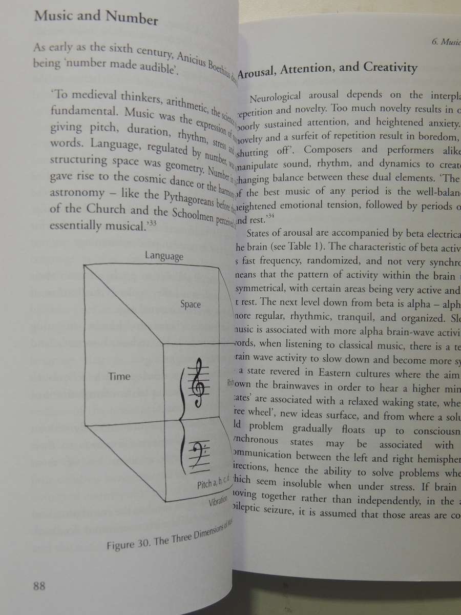 The Well Balanced Child: Movement And Early Learning - Sally Goddard Blythe