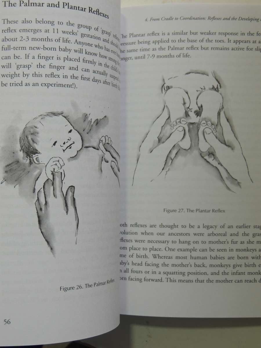 The Well Balanced Child: Movement And Early Learning - Sally Goddard Blythe