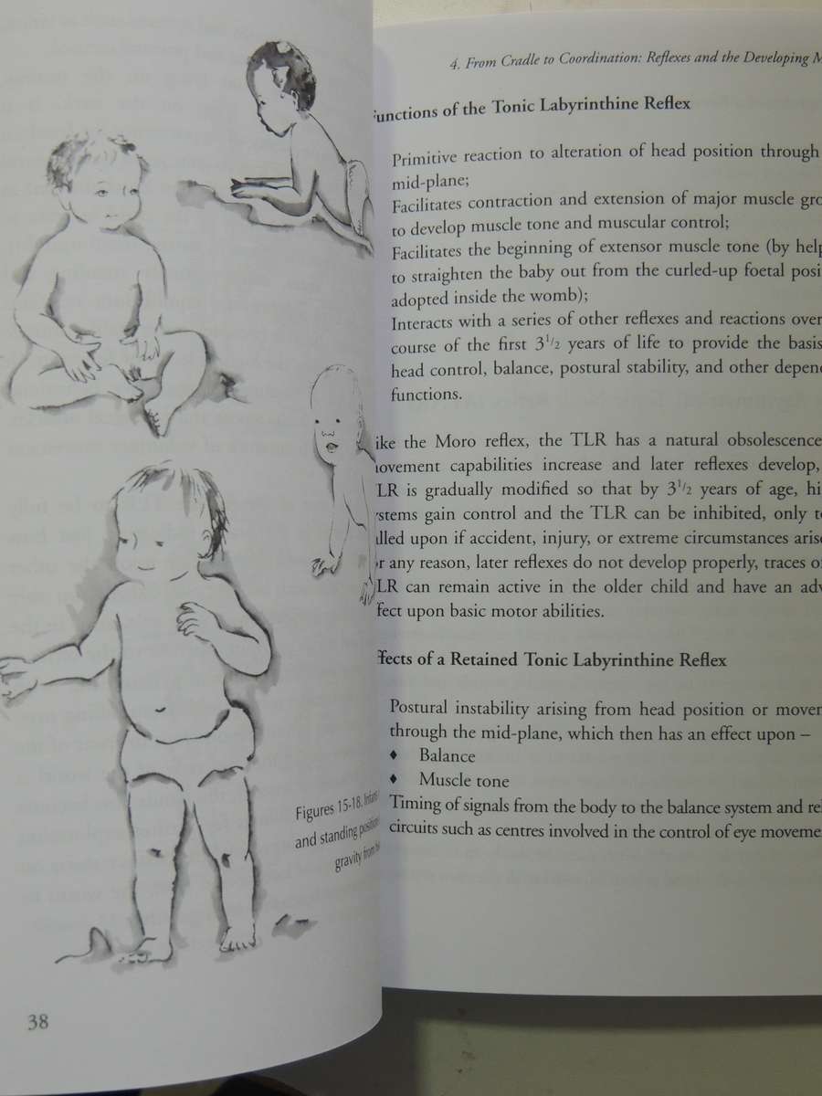 The Well Balanced Child: Movement And Early Learning - Sally Goddard Blythe