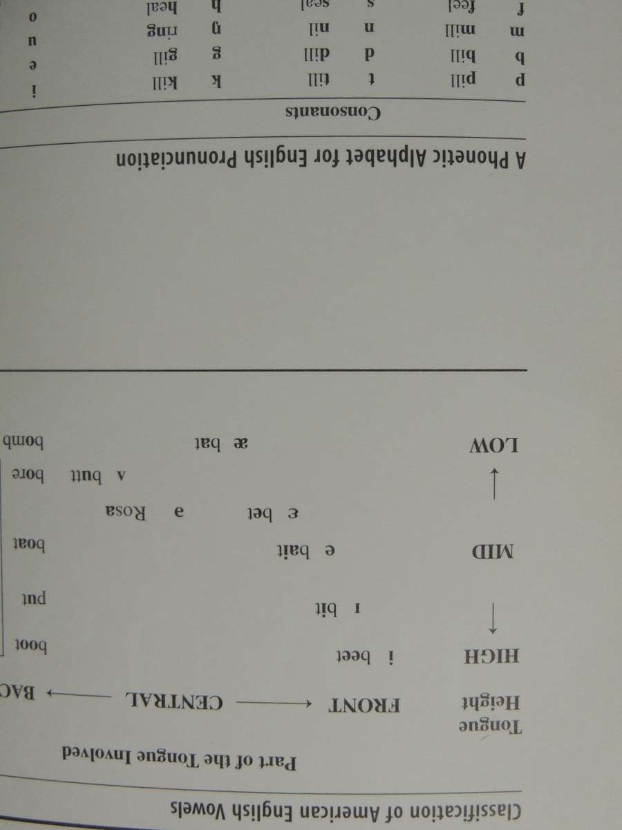 An Introduction to Language - Victoria Fromkin, Robert Rodman, N Hyams  7th ed