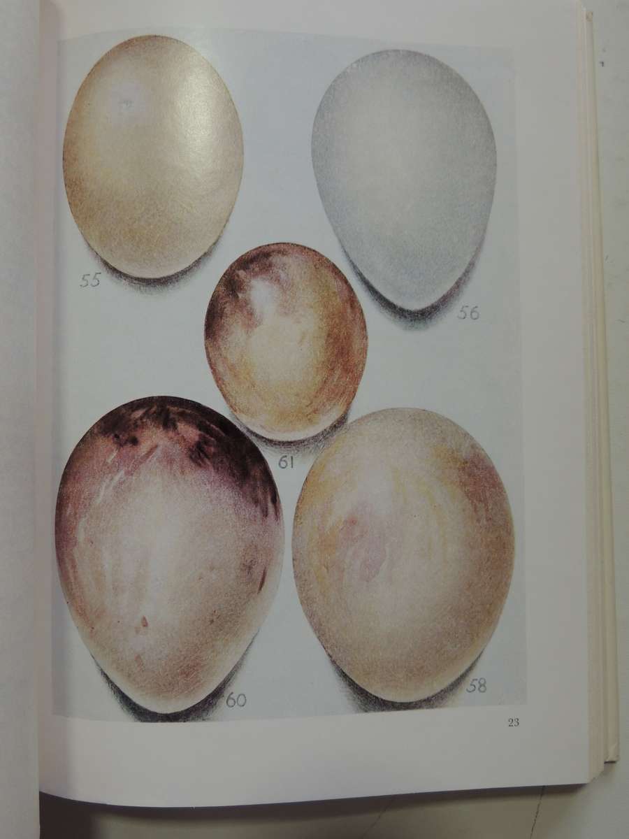 Priest's Eggs of the Southern African Birds - Revised by JM Winterbottom 1971
