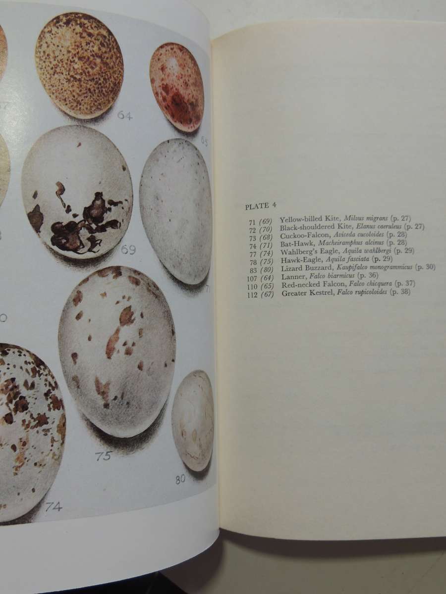 Priest's Eggs of the Southern African Birds - Revised by JM Winterbottom 1971